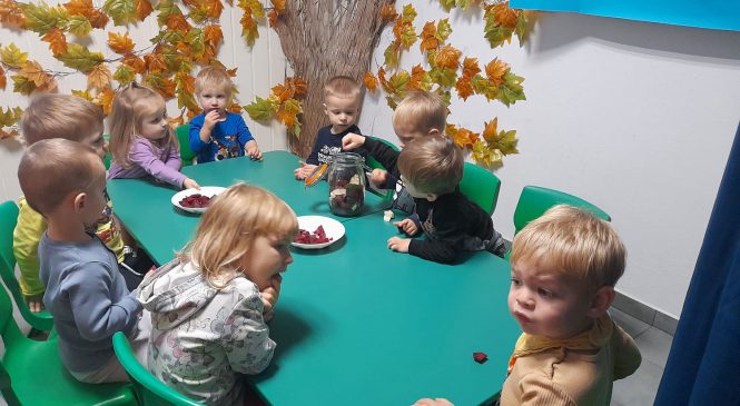 Dzień warzyw i owoców grupa „Króliczki”