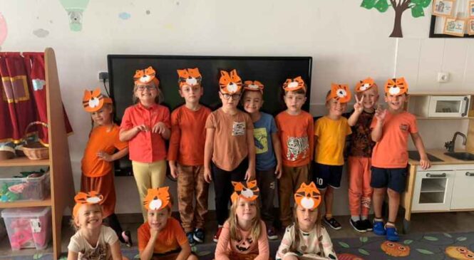 Pasowanie na Tygrysa