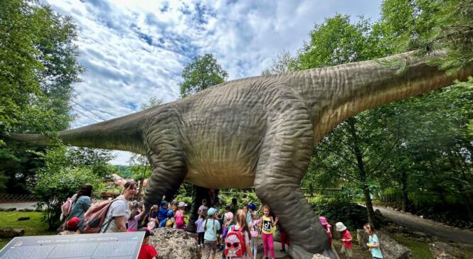 Dzień Dziecka w Bałtowie