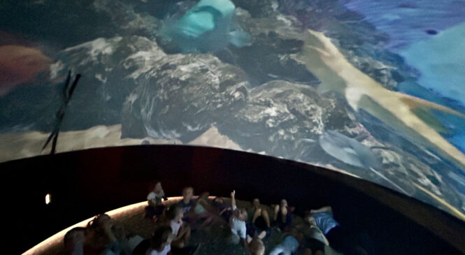 Wycieczka do oceanarium